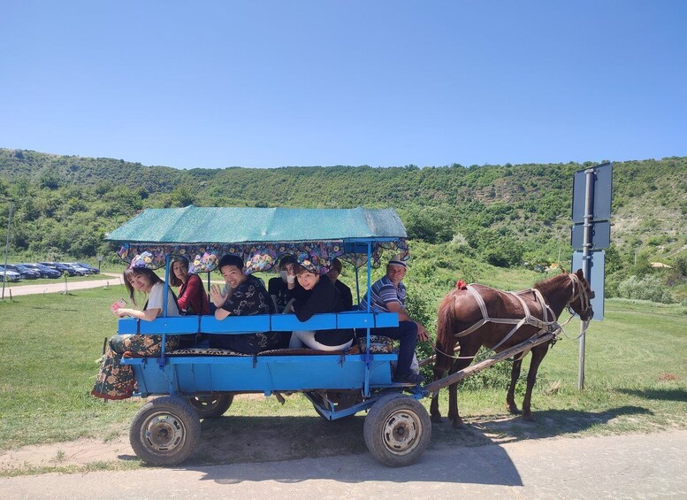 Picture 3 for Activity Chisinau:Cricova Wine tour&Old Orhei Archeological Complex