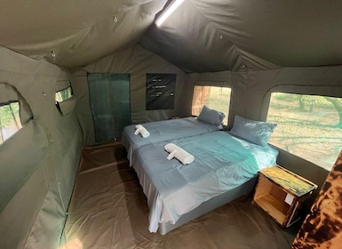 3 Jours Dumela Tented Camp Safari