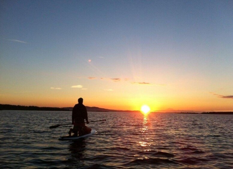 Picture 2 for Activity Victoria,BC: Learn to SUP and Tour