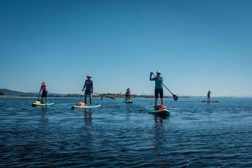 Victoria,BC: Learn to SUP and Tour