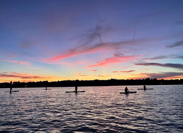 Picture 1 for Activity Victoria,BC: Learn to SUP and Tour