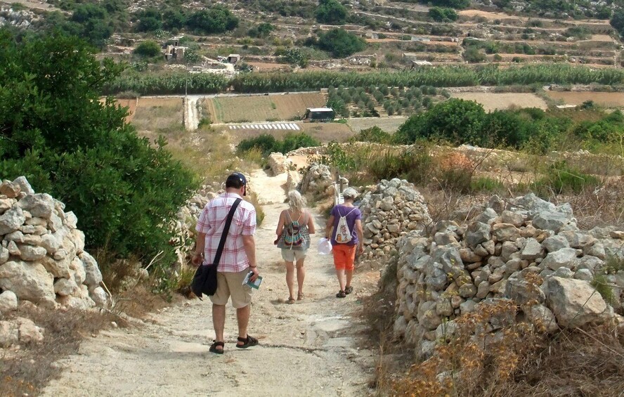 Picture 6 for Activity Mistra Valley and Selmun Private Nature Tour with Transport