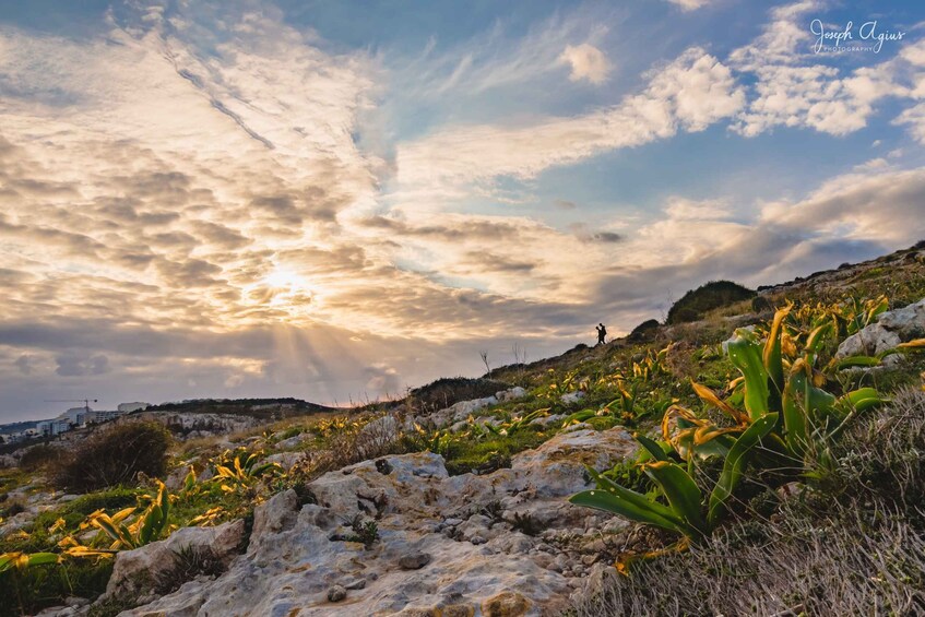 Picture 16 for Activity Mistra Valley and Selmun Private Nature Tour with Transport