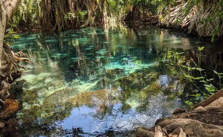 Moshi/Arusha kikuletwa Hot Springs Tour