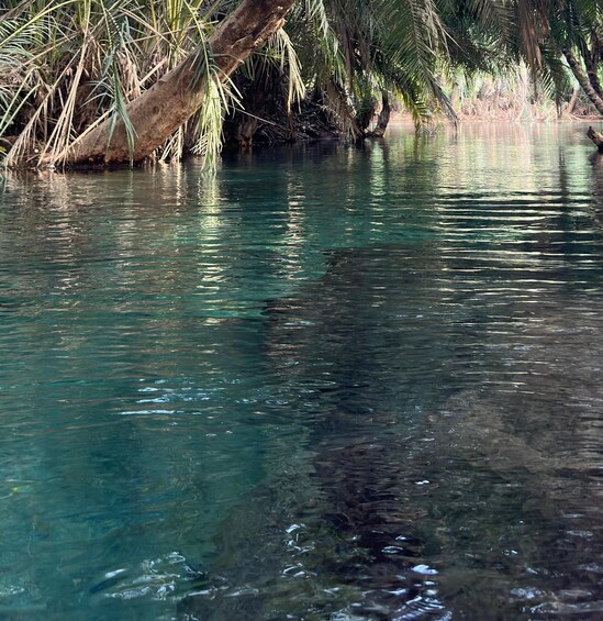 Picture 4 for Activity Chemka Hot Springs Tour