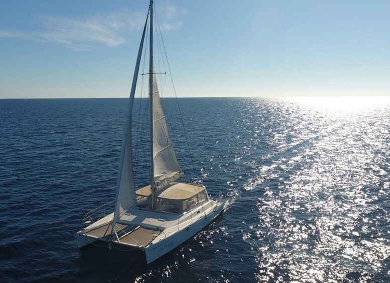Picture 4 for Activity Mallorca: exclusive sailing tour on private catamaran