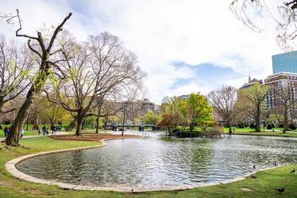 Tur Mengemudi Pribadi Boston Freedom Trail ke Harvard Square