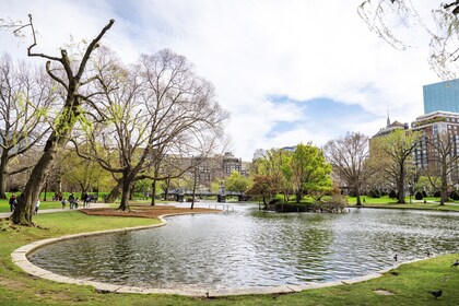 Boston Freedom Trail till Harvard Square Privat rundtur med bil