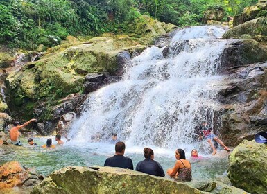 Nodi: Sleeping Giant Zipline Adventure Park