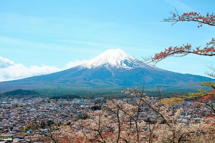 From Tokyo: Mount Fuji Full-Day Sightseeing Trip