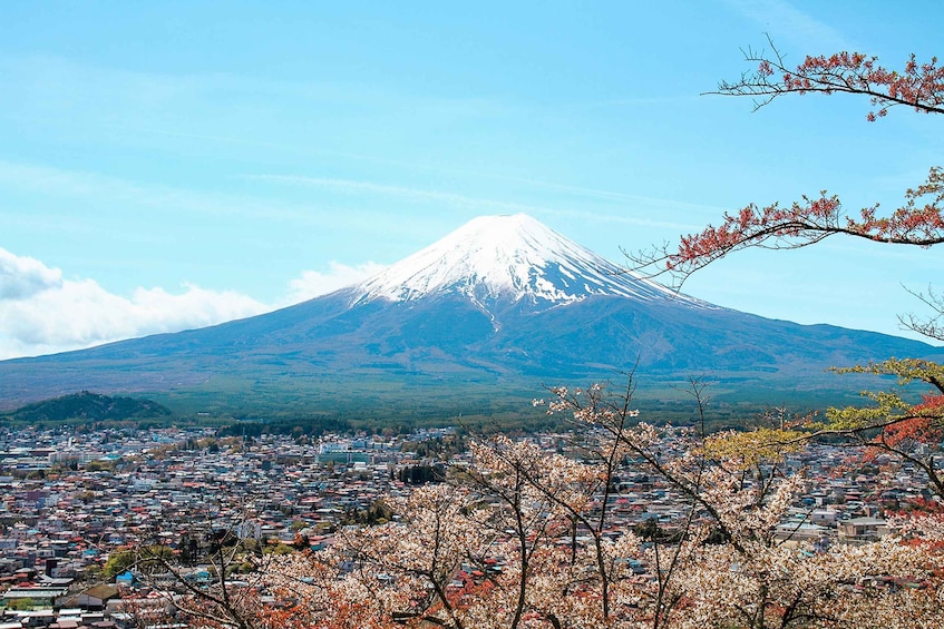 Picture 2 for Activity From Tokyo: Mount Fuji Full-Day Sightseeing Trip