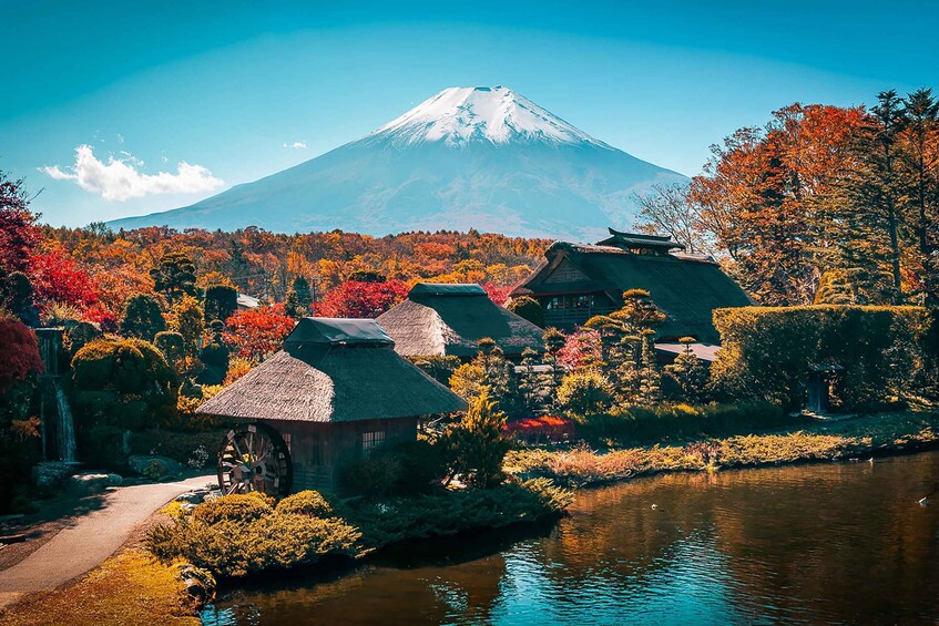 Picture 7 for Activity From Tokyo: Mount Fuji Full-Day Sightseeing Trip