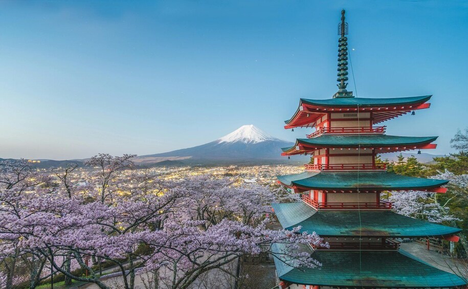 Picture 1 for Activity From Tokyo: Mount Fuji Full-Day Sightseeing Trip