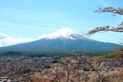 From Tokyo: Mt. Fuji Full-Day Sightseeing Trip