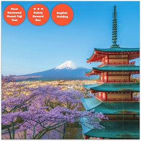 From Tokyo: Mount Fuji Full-Day Sightseeing Trip