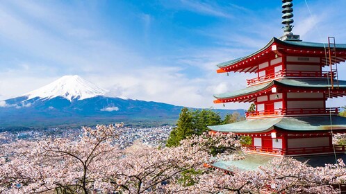 Desde Tokio: excursión de día completo al monte Fuji