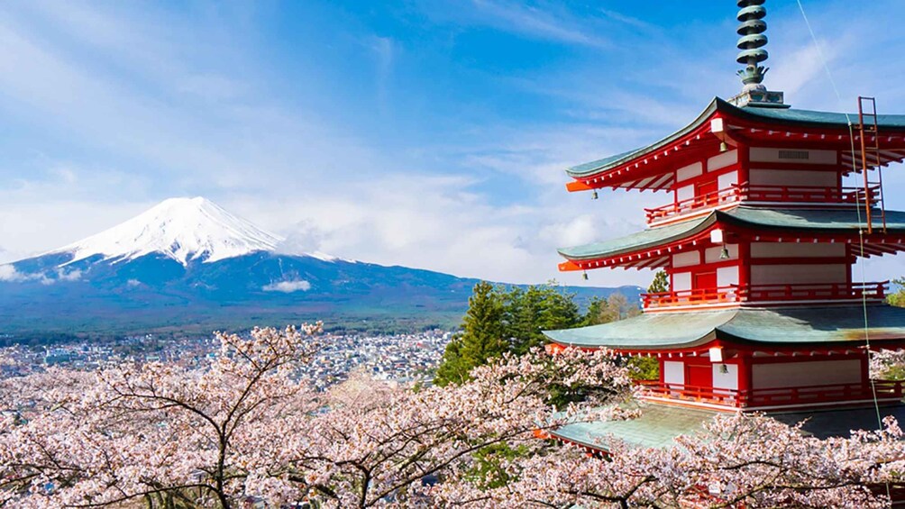 Picture 1 for Activity From Tokyo: Mount Fuji Full-Day Sightseeing Trip