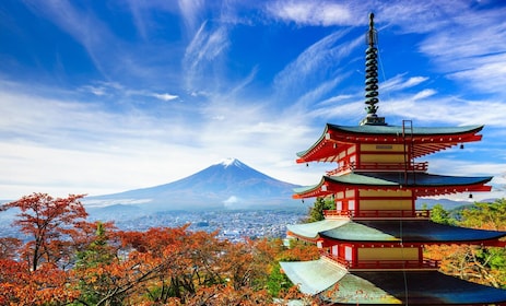 From Tokyo: Mount Fuji Full-Day Sightseeing Trip