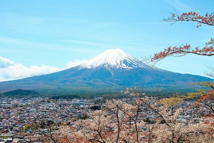 從東京出發：富士山全日觀光之旅
