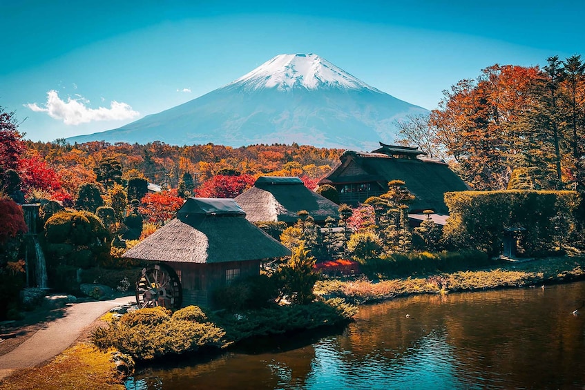 Picture 4 for Activity From Tokyo: Mt. Fuji Full-Day Sightseeing Trip
