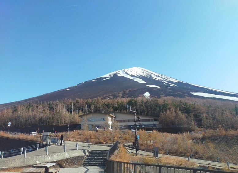 Picture 5 for Activity From Tokyo: Mount Fuji Full-Day Sightseeing Trip