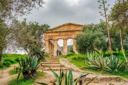 Excursion d'une journée à Segesta, Erice et les salines depuis Palerme