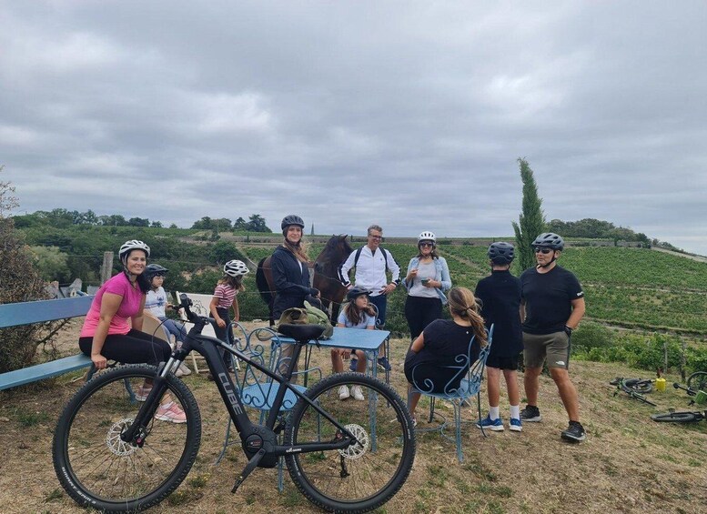 Picture 4 for Activity Angers: Cycling tour with wine tastings !