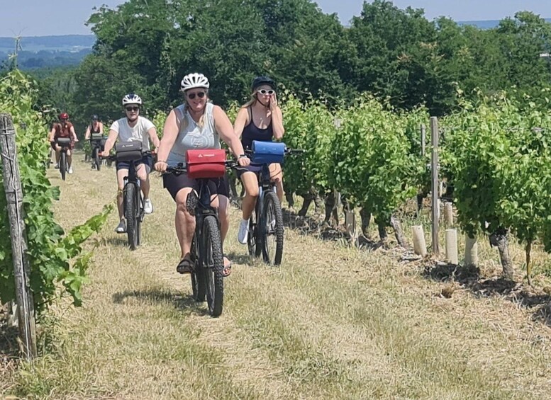 Angers: Cycling tour with wine tastings !