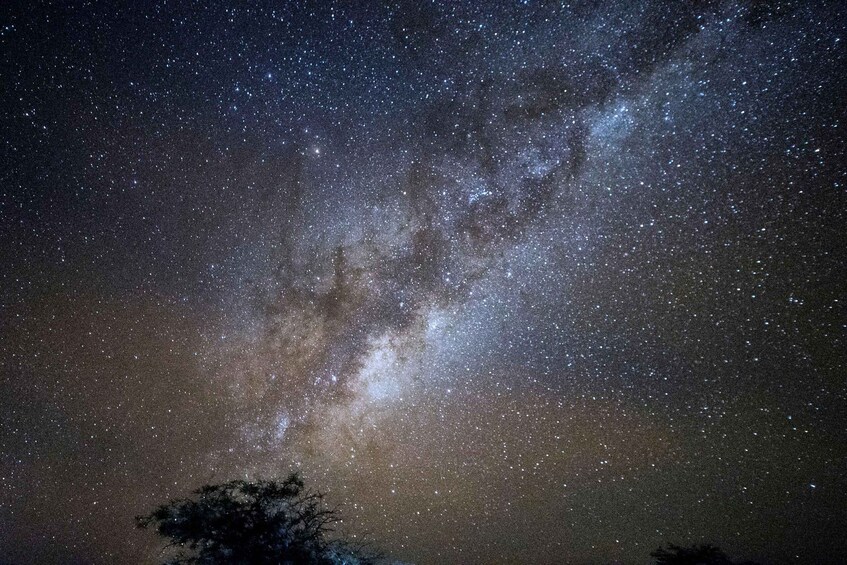 Picture 4 for Activity San Pedro de Atacama: Stargazing Experience with Transfer