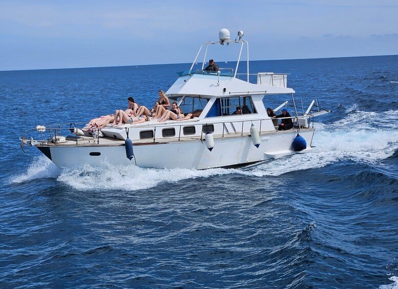 Picture 10 for Activity Palermo: Isola delle Femmine Boat Tour with Lunch