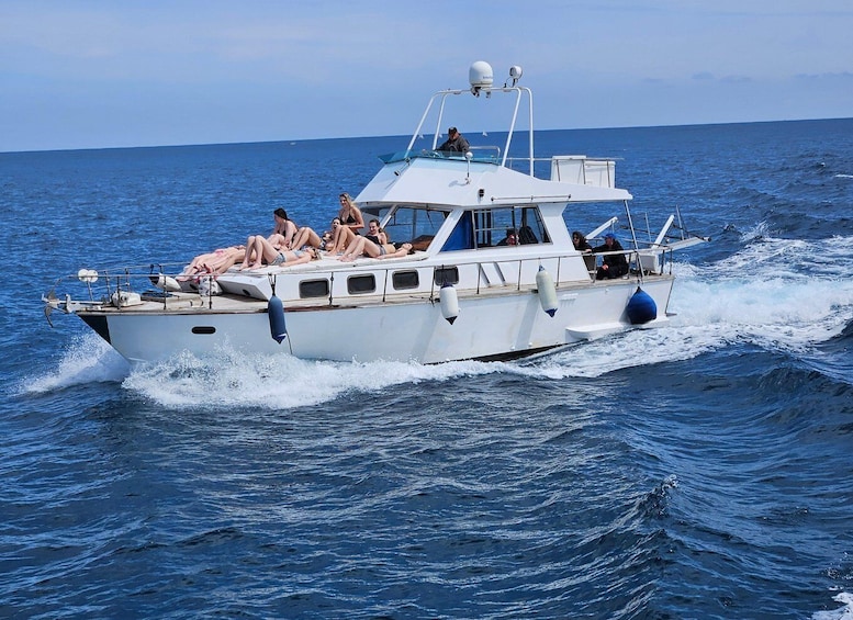 Picture 10 for Activity Palermo: Isola delle Femmine Boat Tour with Lunch