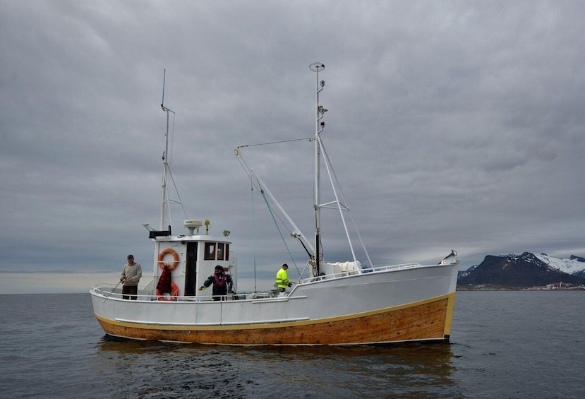 Picture 6 for Activity Svolvær: Fishing Trip on the Lofoten Sea