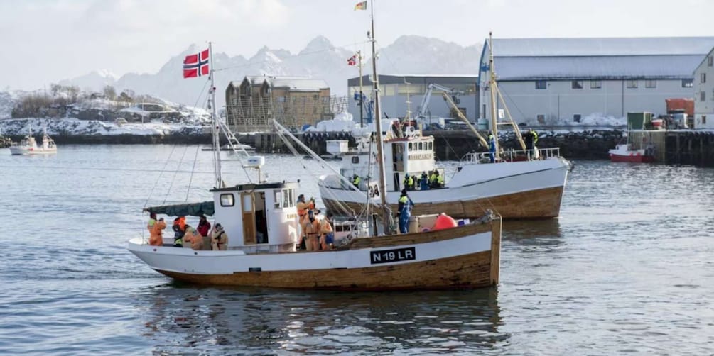 Picture 4 for Activity Svolvær: Fishing Trip on the Lofoten Sea