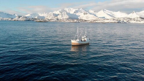 Svolvær: Fishing Trip on the Lofoten Sea