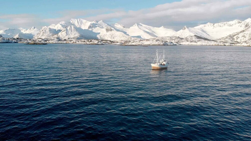 Picture 7 for Activity Svolvær: Fishing Trip on the Lofoten Sea