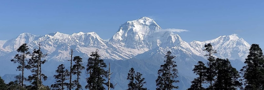 Picture 8 for Activity Annapurna View: Short trek to Poonhill-From Pokhara