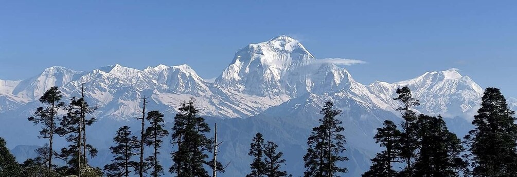 Picture 8 for Activity Annapurna View: Short trek to Poonhill-From Pokhara