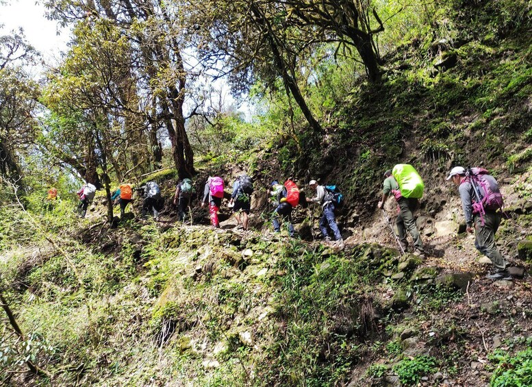 Picture 3 for Activity Annapurna View: Short trek to Poonhill-From Pokhara