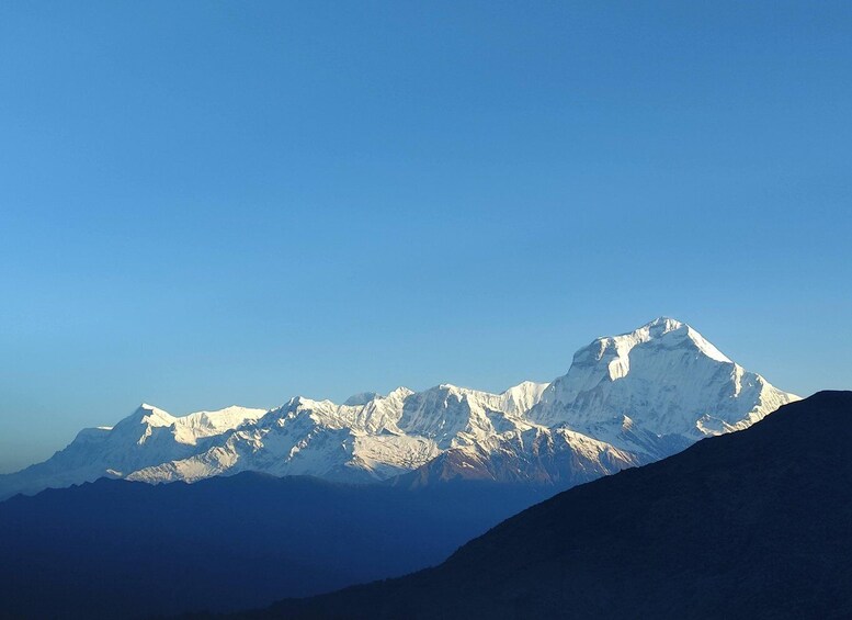 Picture 1 for Activity Annapurna View: Short trek to Poonhill-From Pokhara