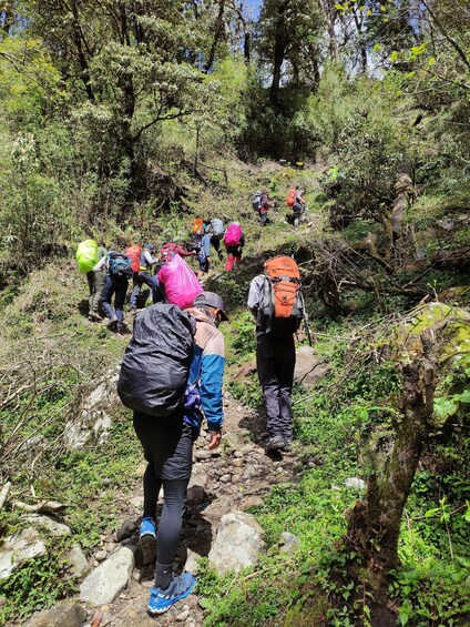 Picture 4 for Activity Annapurna View: Short trek to Poonhill-From Pokhara