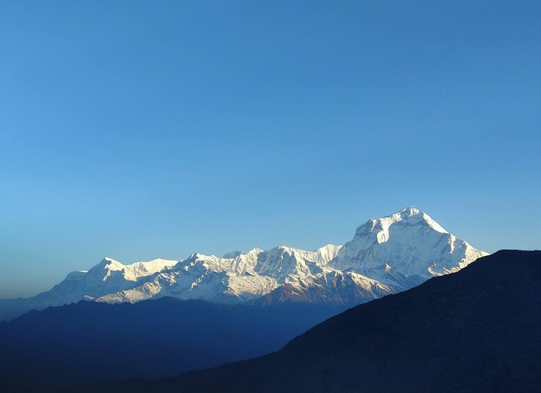 Picture 1 for Activity Annapurna View: Short trek to Poonhill-From Pokhara