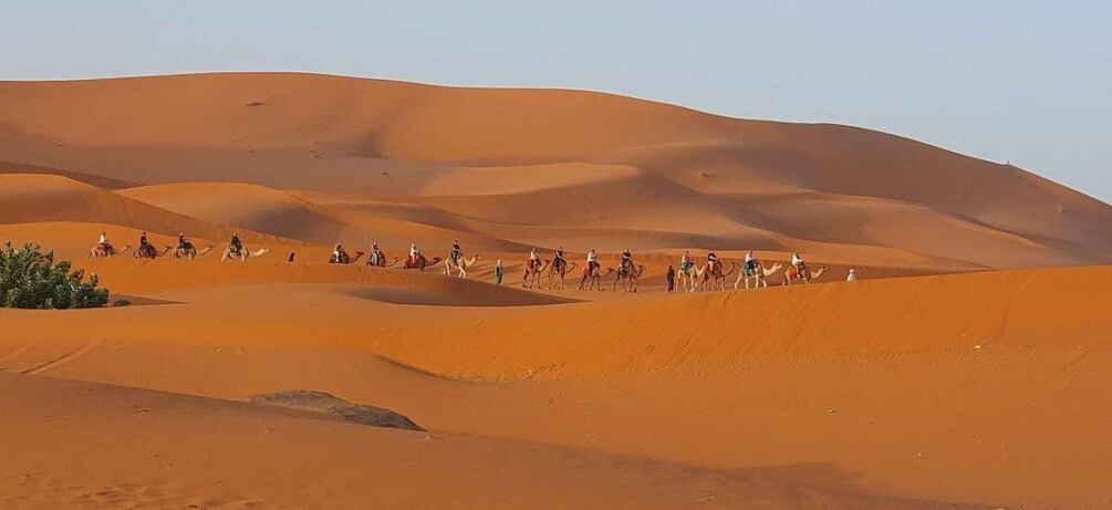 Picture 3 for Activity From Errachidia: One Way transfert To Merzouga Desert-Erfoud