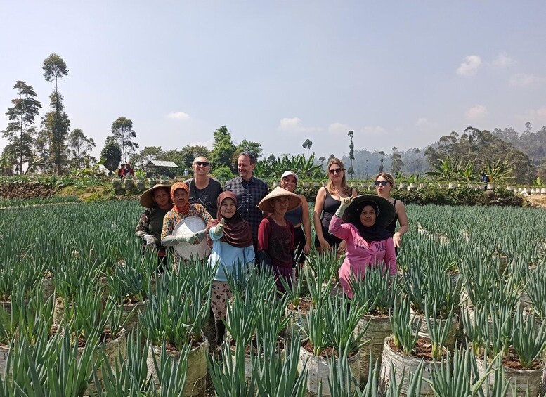 Picture 19 for Activity Bandung: Volcano, Hot Spring, Mud Bathing, & Lake Tour