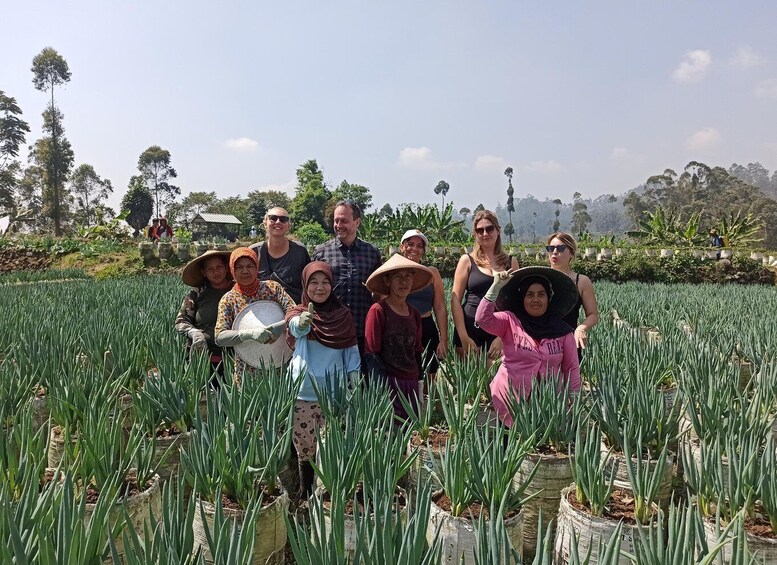 Picture 26 for Activity Bandung: Volcano, Hot Spring, Mud Bathing, & Lake Tour