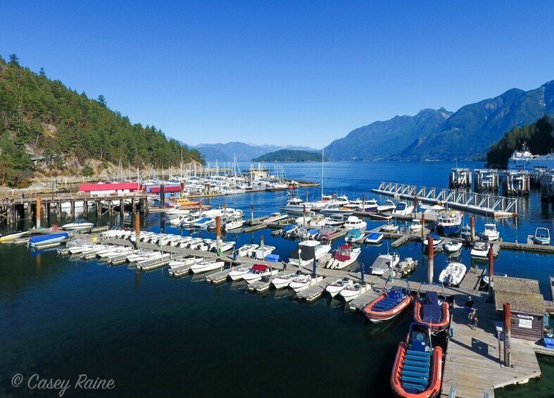 Picture 7 for Activity West Vancouver: Howe Sound and Bowen Speedboat Tour
