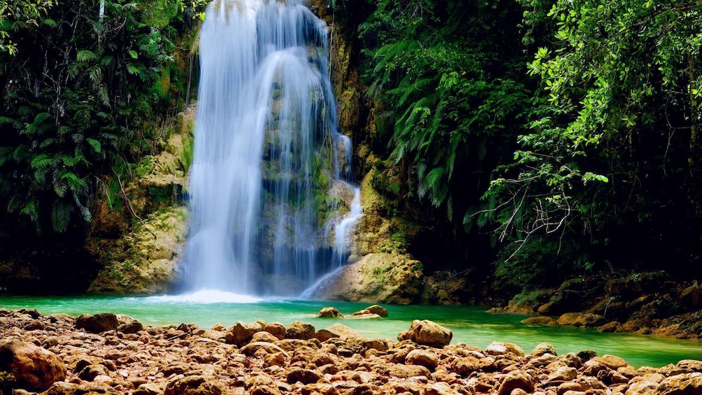 Picture 3 for Activity El Limón: Waterfall Tour with Lunch