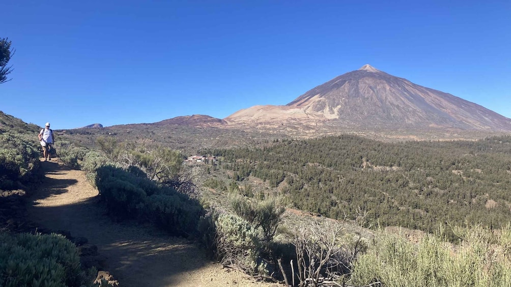 Picture 4 for Activity Tenerife: Private Guided Mindful Hike Teide with transport