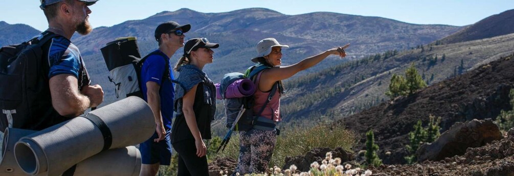 Picture 2 for Activity Tenerife: Private Guided Mindful Hike Teide with transport