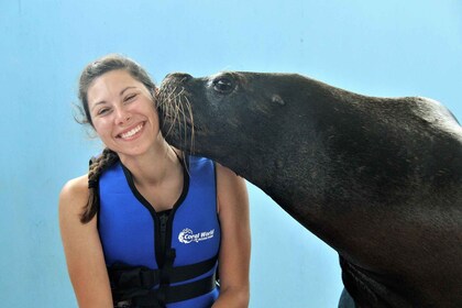 Thomas : Rencontre guidée avec des otaries