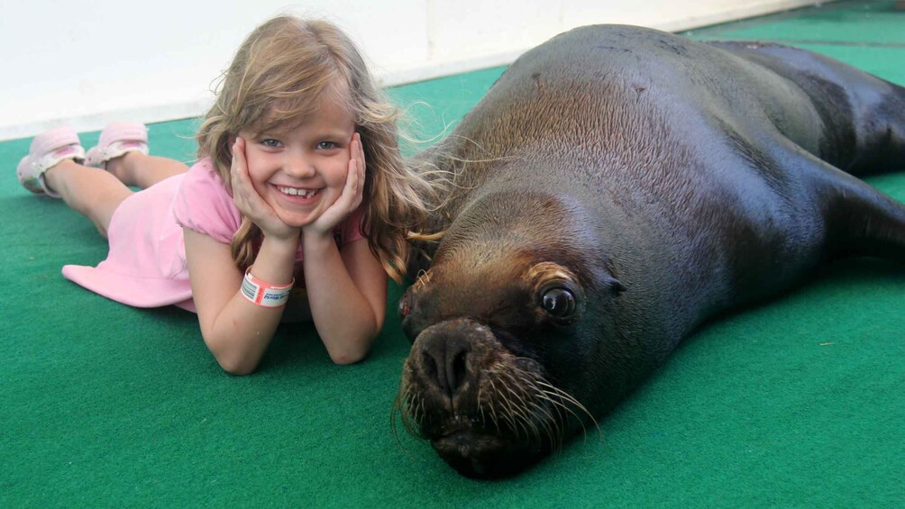 Picture 1 for Activity St. Thomas: Guided Sea Lion Encounter